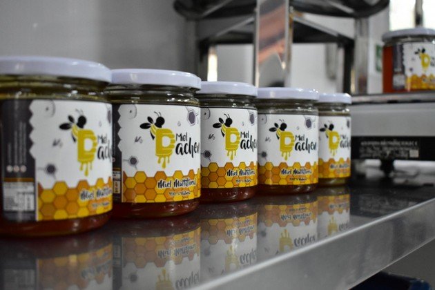 sala de cosecha 2.jpeg