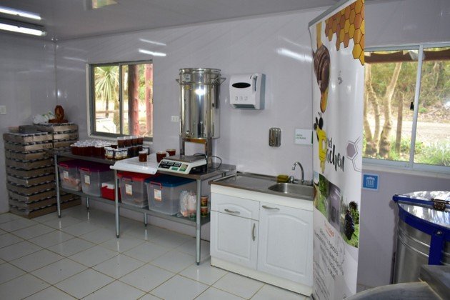 sala de cosecha 3.jpeg